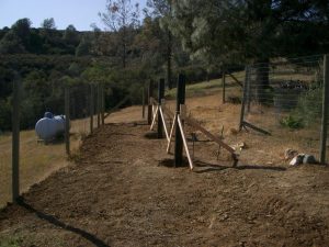 large metal posts installed in the ground