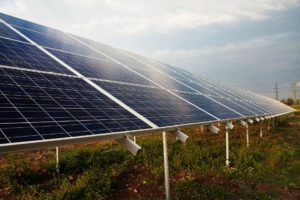 solar panels in a field