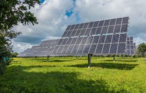 solar panels in a field